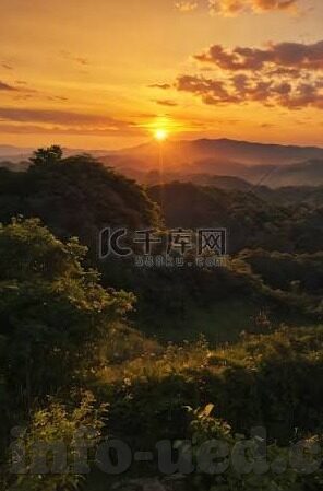 69足球即时比分-探秘69足球即时比分，球迷的实时战场与信息狂欢