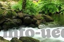 浙江绿城足球比分-浙江绿城，从比分起伏中探寻中超新势力的崛起密码